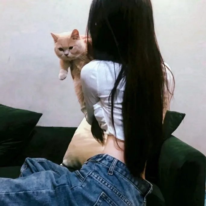 蔬菜历险记